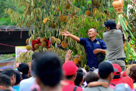 Berbagi Buah di Festival Durian Sumberjambe