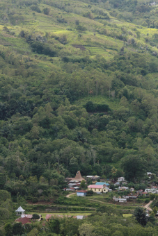 Desa Woloara Moni