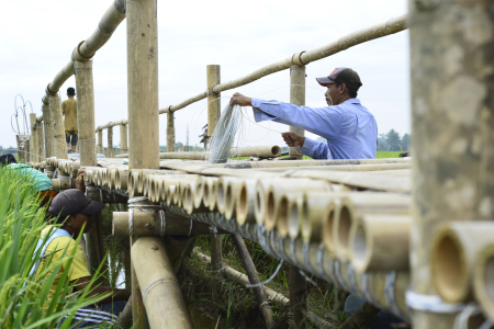 Membangun jembatan persawahan