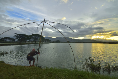 Nyirp Hingga Senja