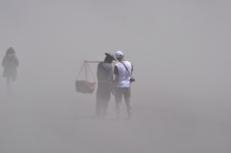 Penambang Uang di hempasan pasir Bromo