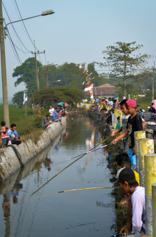 Mancing mania