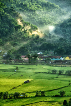 Kampung Asri