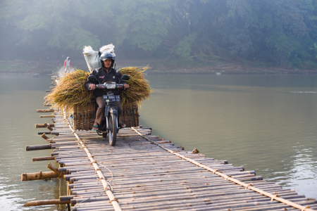 Pulang Dari Sawah