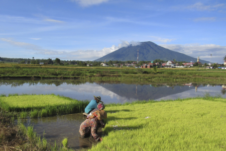 Aktifitas Pagi di Kampungku