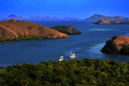 Kampungku Pulau Rinca