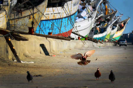 Landing in Sunda Kelapa port