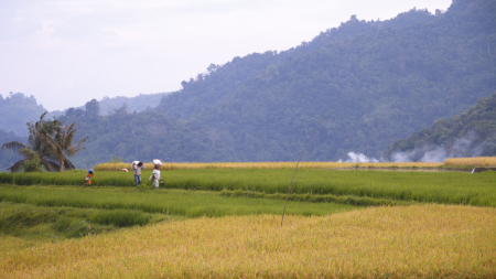 A scene from Nagari Pariangan