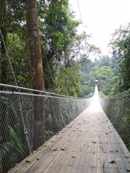 Pintu gerbang jembatan gantung