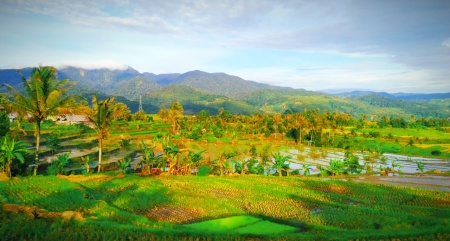 Solok Kota Beras