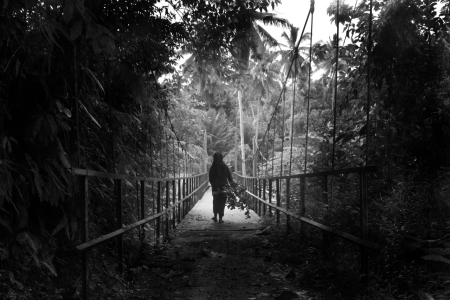 JEMBATAN ASA PENYAMBUNG KEHIDUPAN