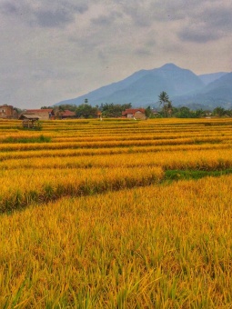 Indahnya pemandangan