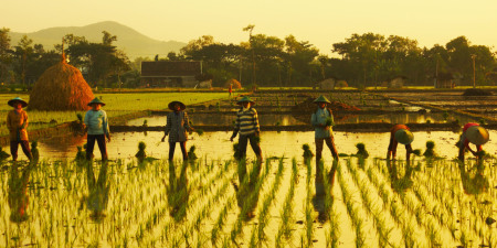 Kebersamaan petani ponorogo