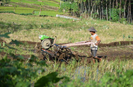 Pengemudi Traktor