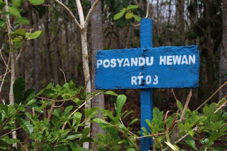 Posyandu Hewan