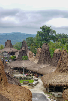Desa Adat Praijing