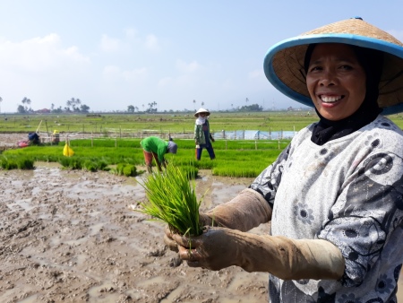 Senyum dan harapan petani saat musim tanam