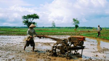 Bajak sawah, bukan bajak hati