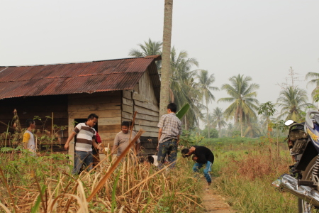 Menikmati kelapa muda, di pondok rumah