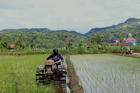 Bajak Sawah