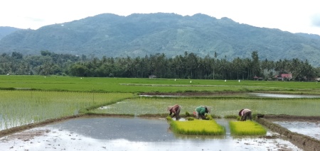 Menentang Matahari