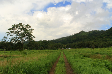 Jalan Ke Sawah