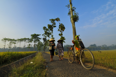 Hendak Berladang