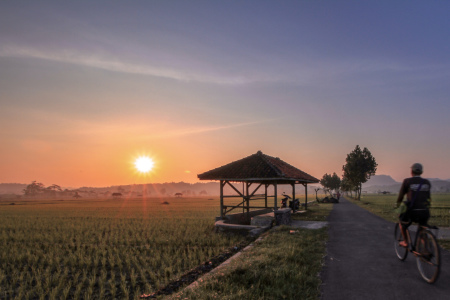 Indahnya Pagi Di Desaku