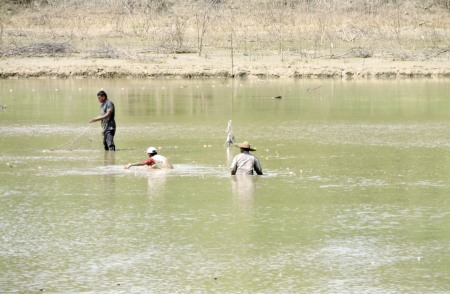 Menjaring ikan di Waduk Paya Sikameh