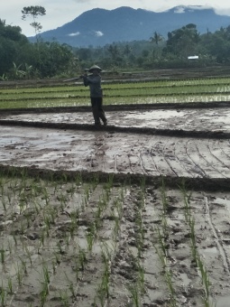 Kampung ku rindu