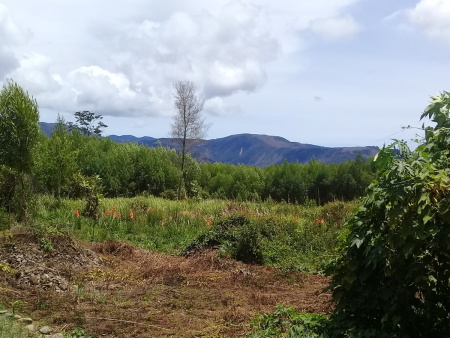 Pegunungan Arfak Papua Barat