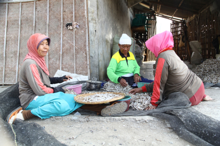 Mengolah Ikan Asin Kering