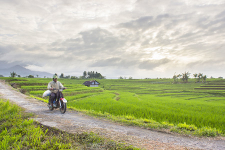 memulai aktivitas di pagi hari