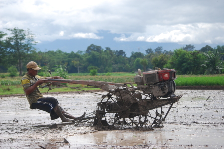 Membajak Sawah