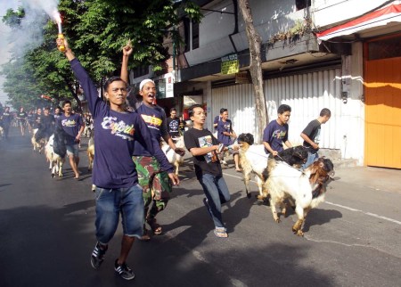 Mengarak Kambing