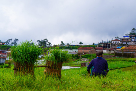 Gembala yang Baik