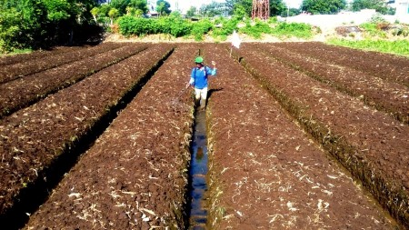 Kegiatan petani