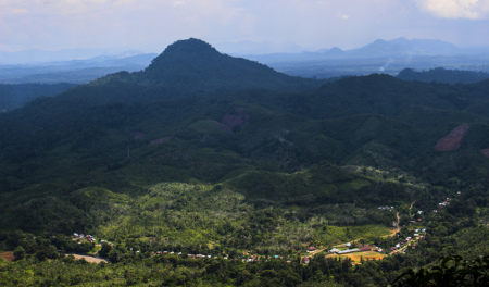 Lanskap Desa Tanjung