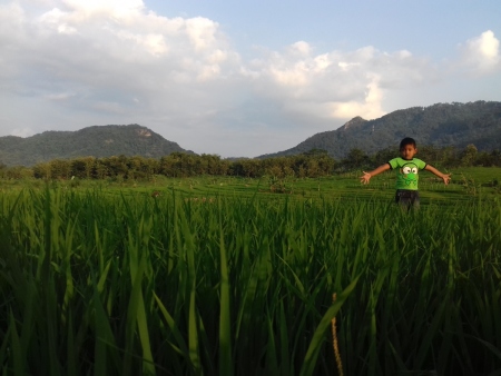 LAHAN SAWAH MASA DEPAN ANAK CUCU