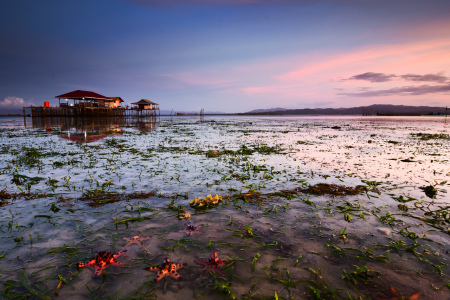 Rumah terapung suku bajo