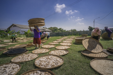 Proses Pengeringan Krupuk di Desa Kenanga