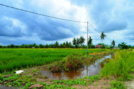 LISTRIK MASUK DESA