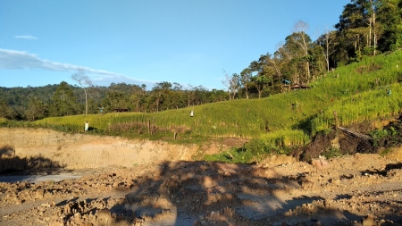 MENJAGA BURUNG PADI LADANG