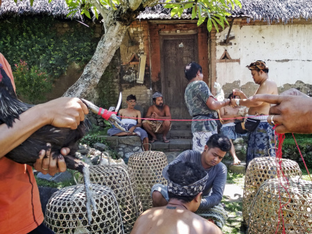 Persiapan Upacara Adat