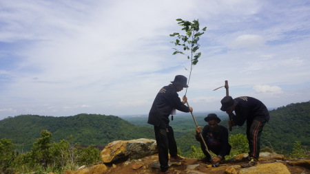 Pohon sebagai penyangga bumi