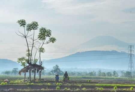 Pahlawan Pangan