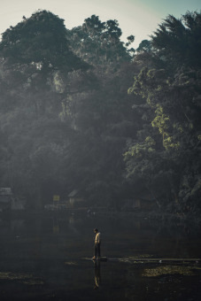 Kabut Pagi