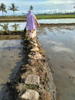 SOSOK WANITA PETANI