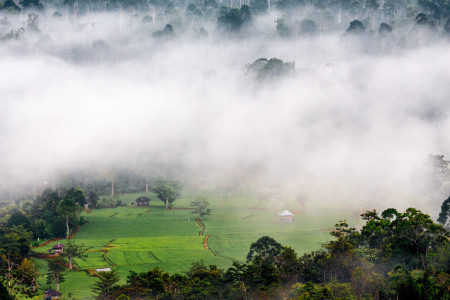 Dalam Kabut