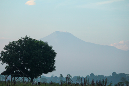 Hijau ladangku. Biru langitku. Tinggi gunungku